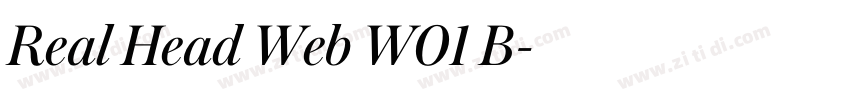 Real Head Web W01 B字体转换